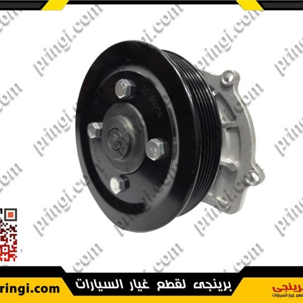 1577645468_طلمبة-مياه-بالطنبورة-اصلى-اريزو-5---GATES
