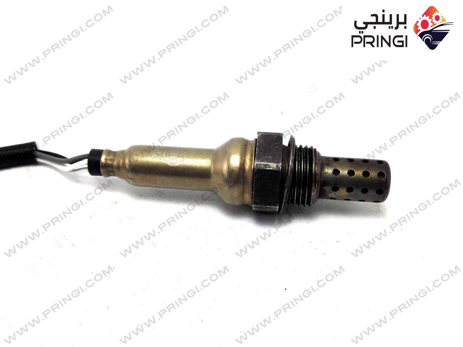 317174629_1 317174629_1