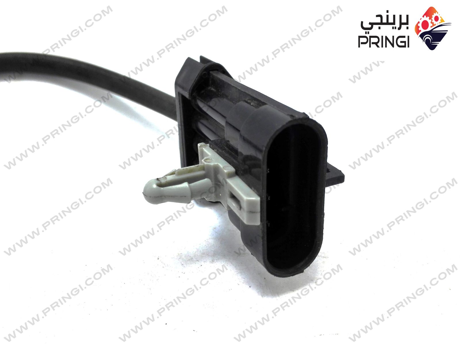 317174629_2 317174629_2