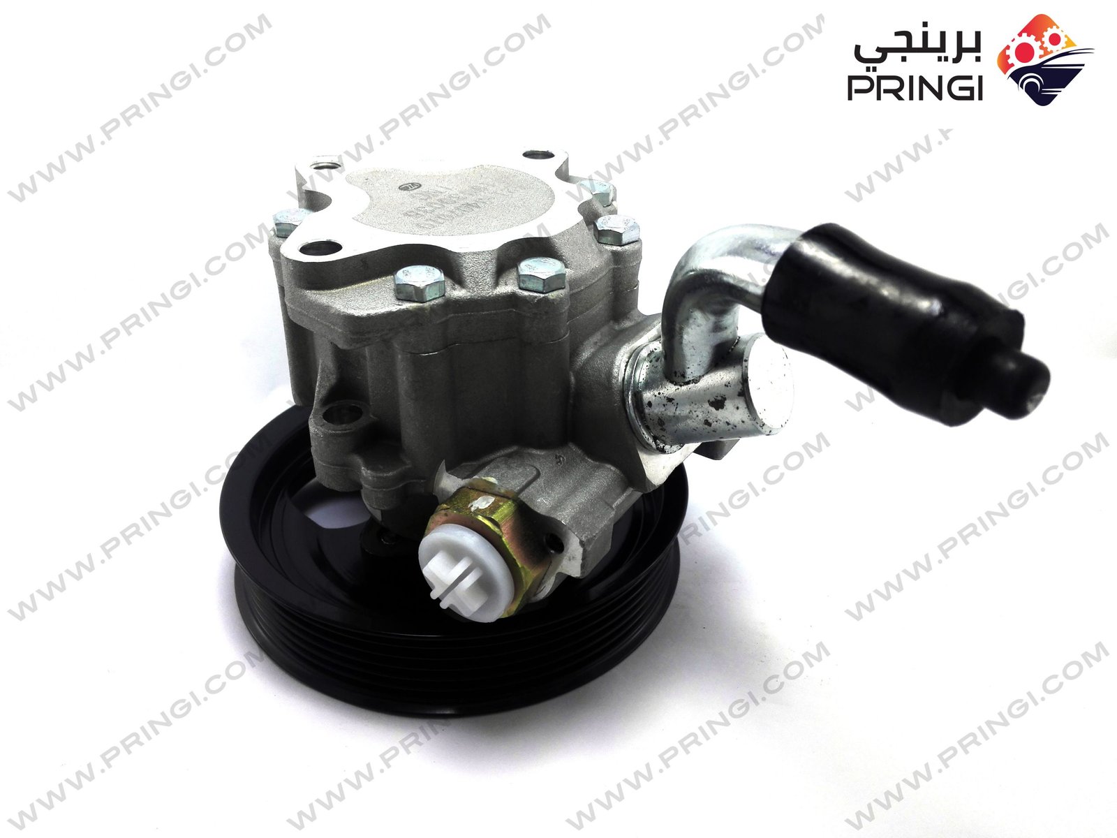 232219504_1 232219504_1