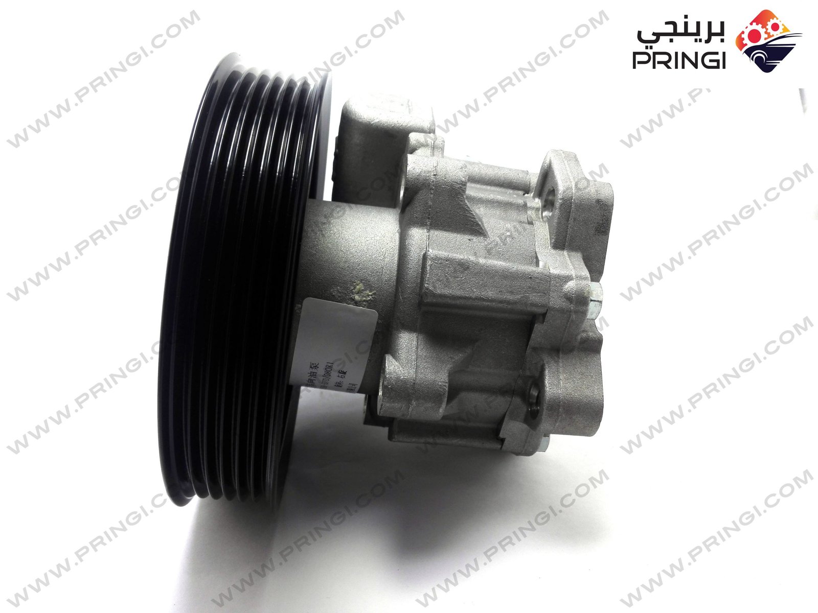 232219504_2 232219504_2