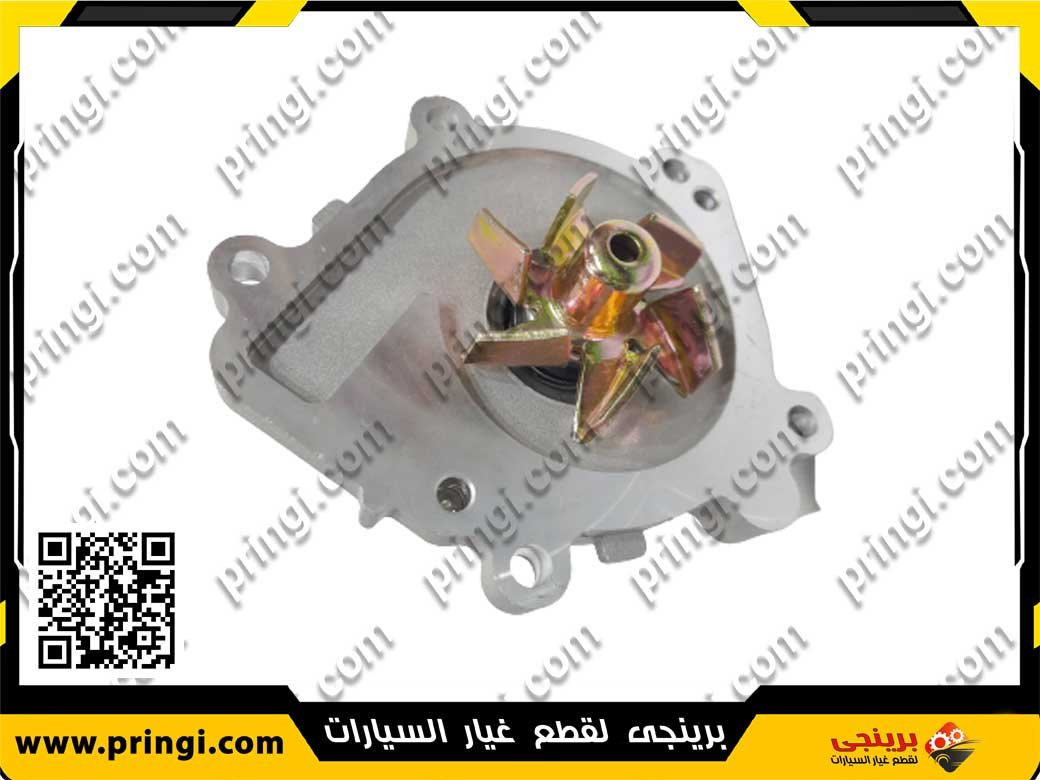 428479901_3 طلمبة مياه ايطالى 113