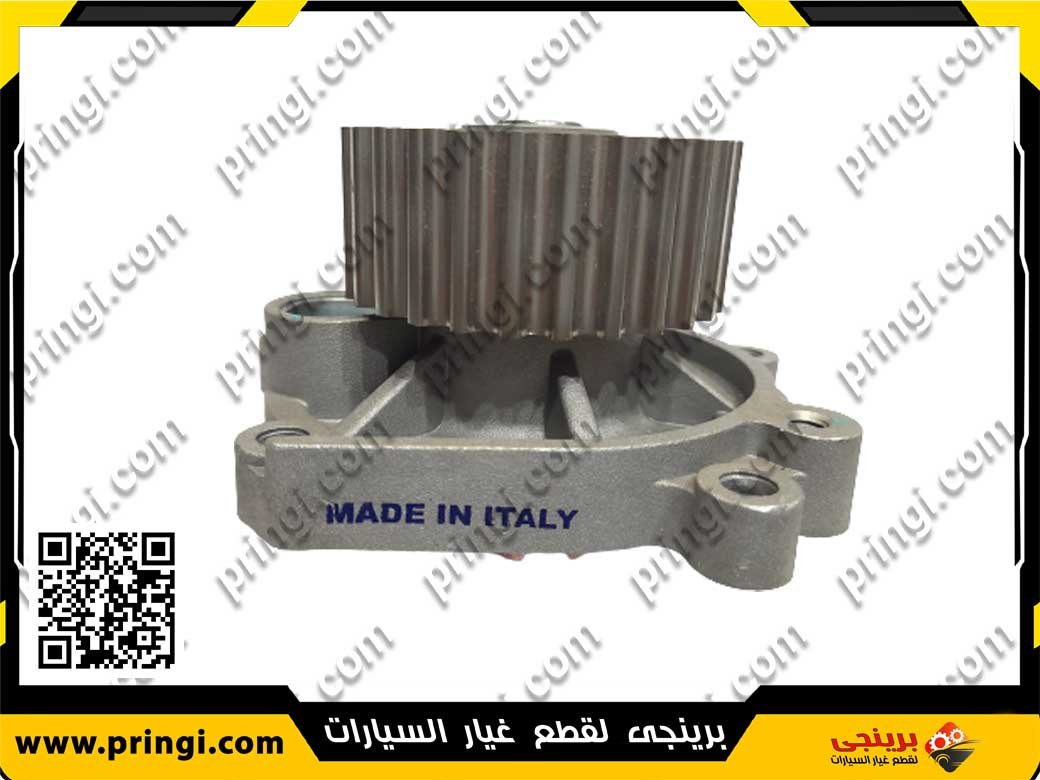428479901_5 طلمبة مياه ايطالى 113